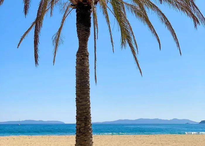 Apartman Select'sohome - Pour 4 Personnes Proche Des Commerces Et De La Du Lavandou Avec Parking Prive ! - Cap Azur Le Lavandou